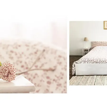 Apartamento Sokol E Caterina